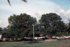Subic Bay PI